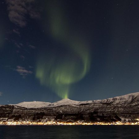 Appartement Veien Til Senja à Finnsnes Extérieur photo