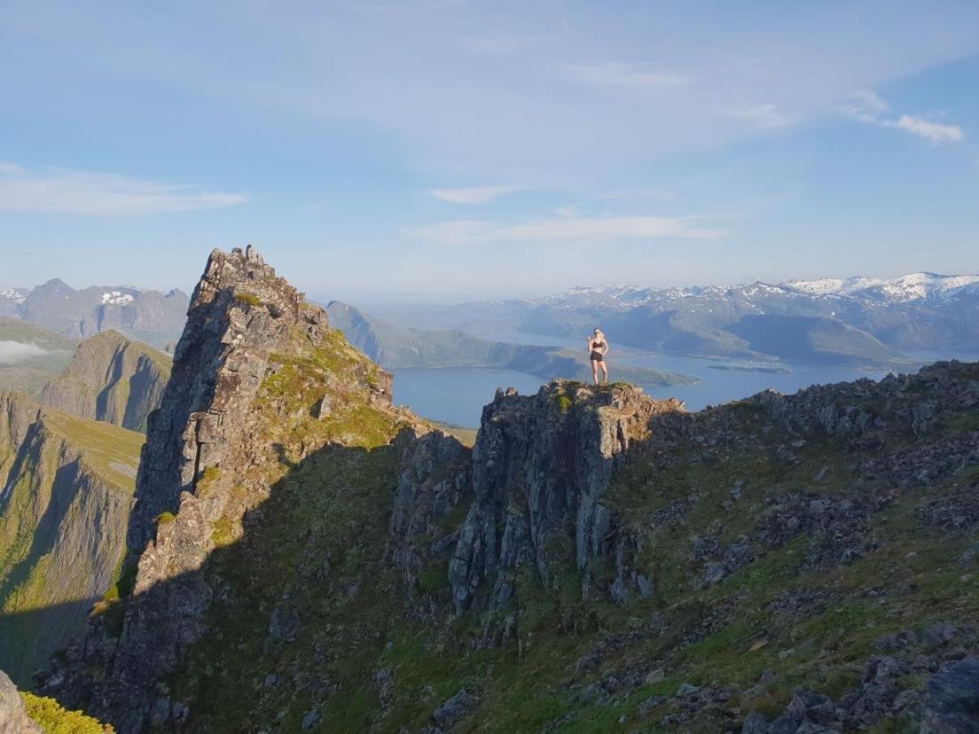 Appartement Veien Til Senja à Finnsnes Extérieur photo